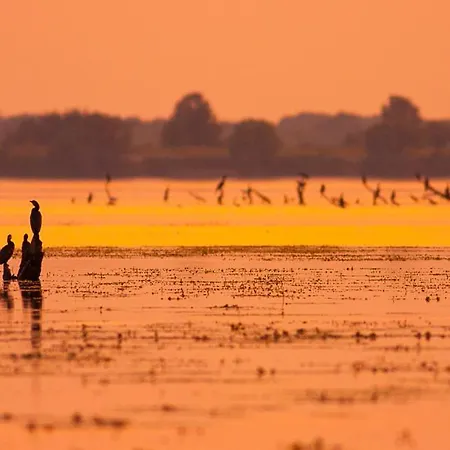 Szurkegem Elmenyporta